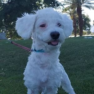 Meet your Posher, Esmeralda